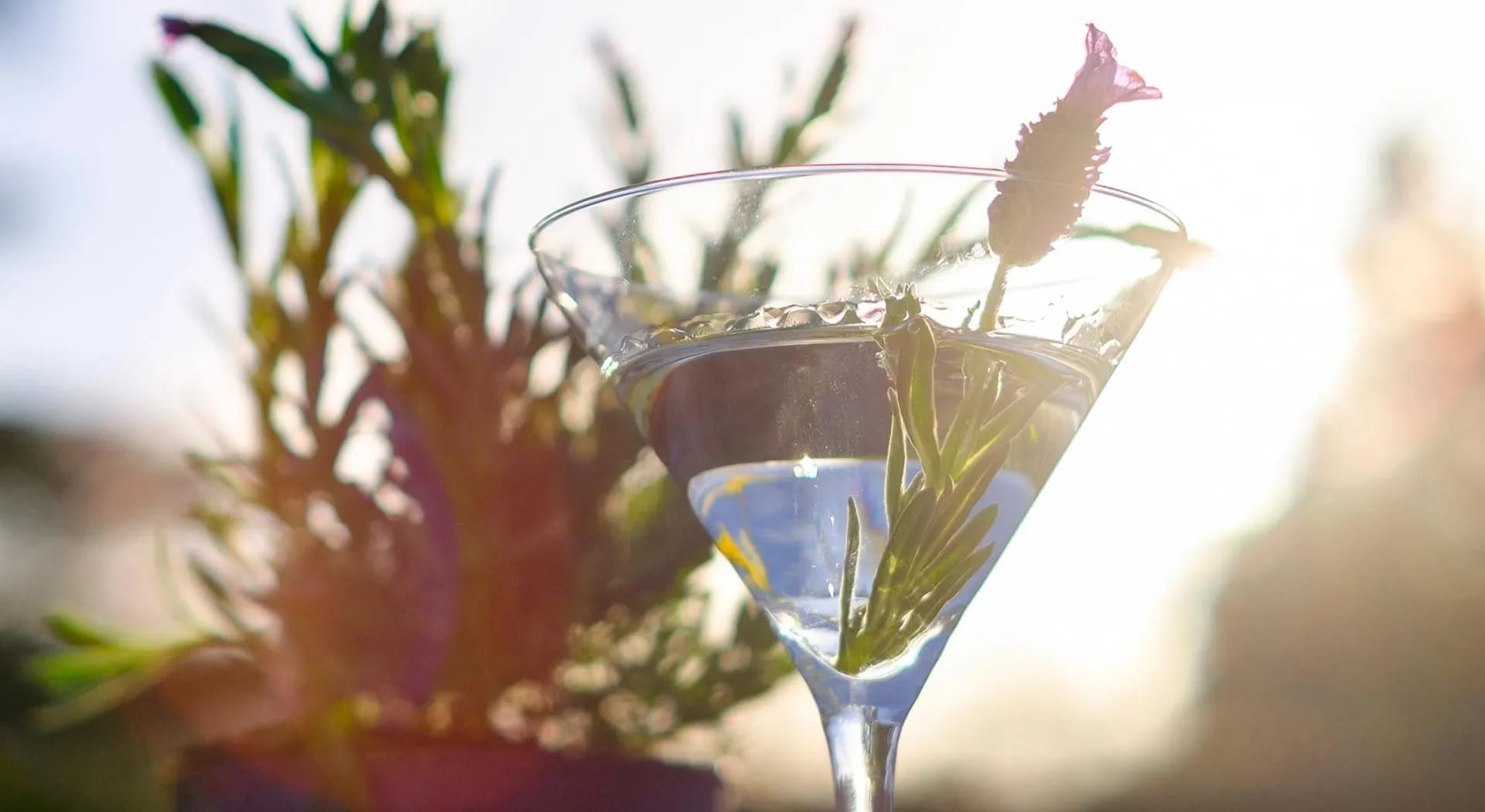 How to organize a cocktail party in the garden