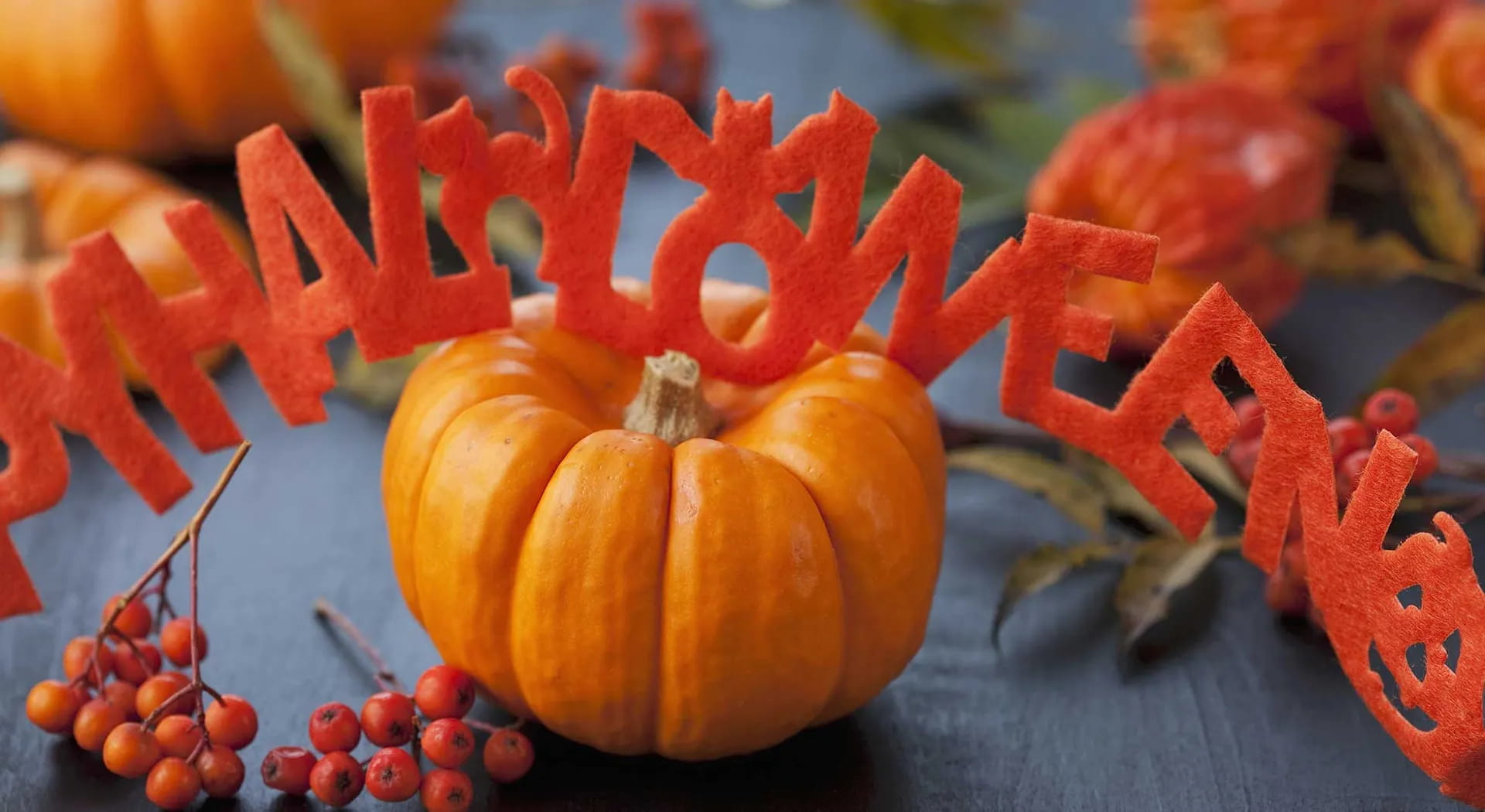 Festa di Halloween: tutti i segreti per una festa da paura